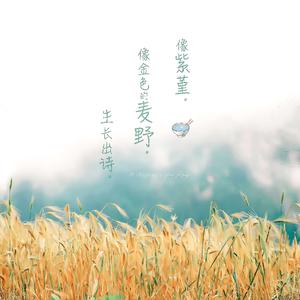 男女搞逼的视频
