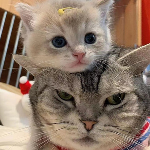 男女搞逼的视频
