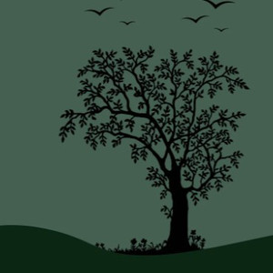 男女搞逼的视频
