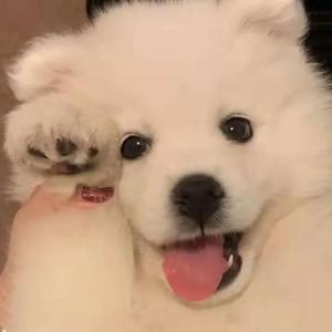 男女搞逼的视频
